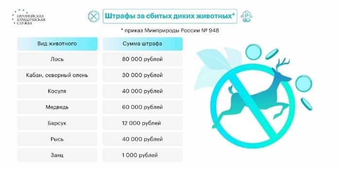 Судебная практика: ответственность за сбитое животное