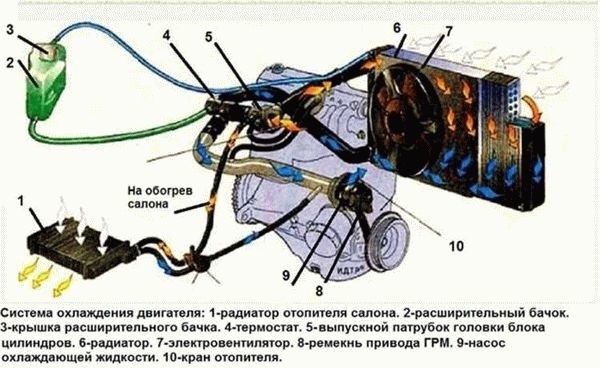 Как часто нужно менять антифриз?