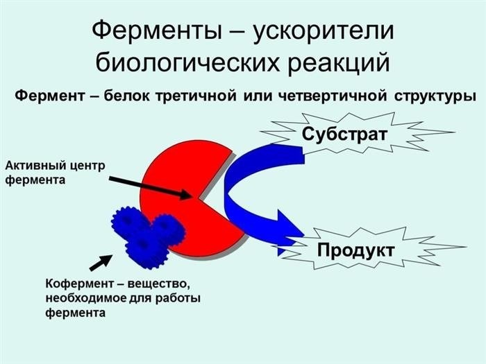 Некоторые из основных применений катализаторов: